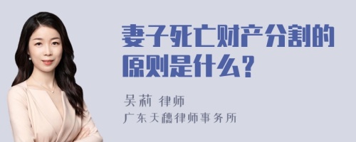 妻子死亡财产分割的原则是什么？