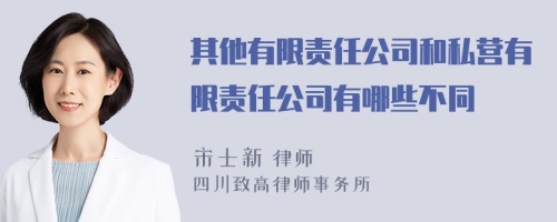 其他有限责任公司和私营有限责任公司有哪些不同