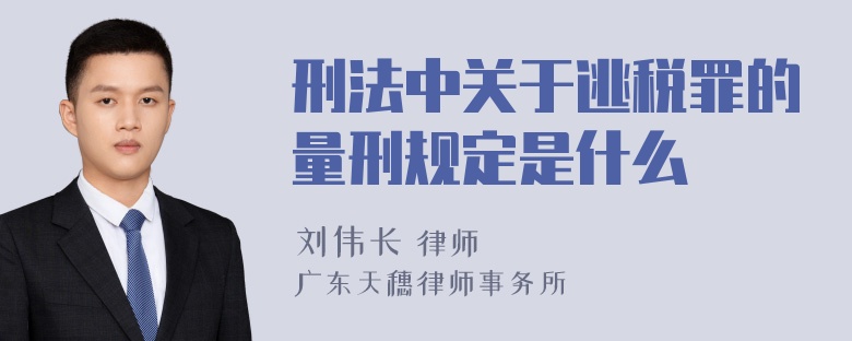 刑法中关于逃税罪的量刑规定是什么