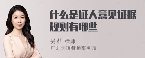 什么是证人意见证据规则有哪些