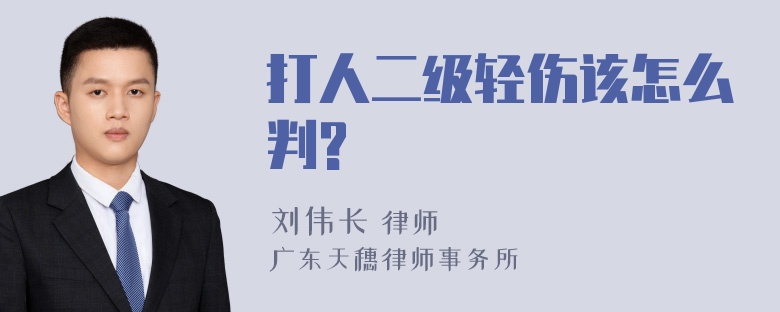 打人二级轻伤该怎么判?