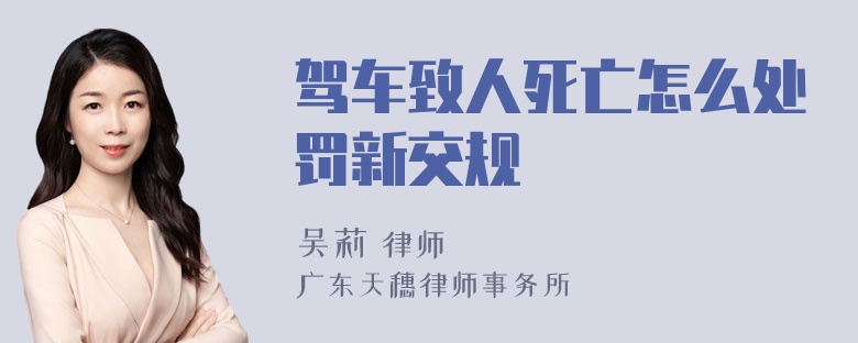 驾车致人死亡怎么处罚新交规