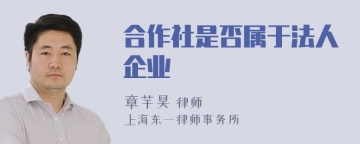 合作社是否属于法人企业