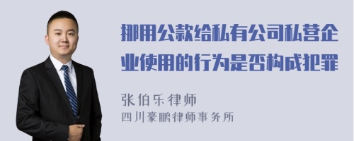 挪用公款给私有公司私营企业使用的行为是否构成犯罪