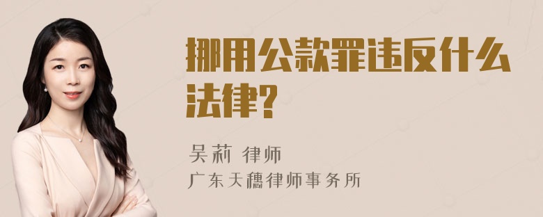 挪用公款罪违反什么法律?