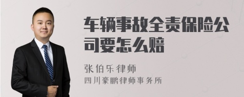 车辆事故全责保险公司要怎么赔