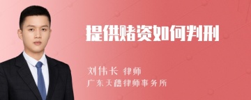 提供赌资如何判刑