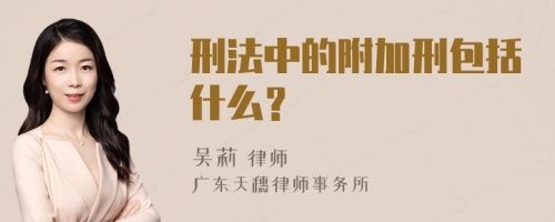 刑法中的附加刑包括什么？