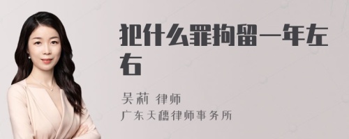 犯什么罪拘留一年左右