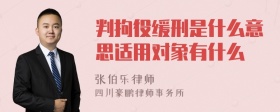 判拘役缓刑是什么意思适用对象有什么