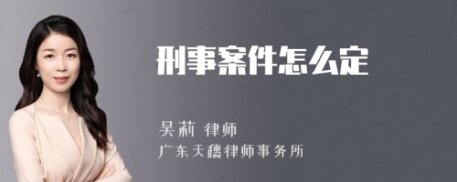 刑事案件怎么定