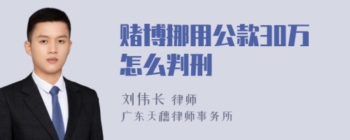 赌博挪用公款30万怎么判刑