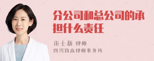 分公司和总公司的承担什么责任