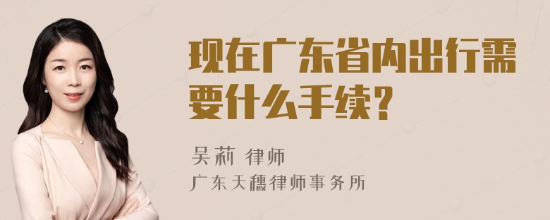 现在广东省内出行需要什么手续？