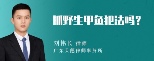 抓野生甲鱼犯法吗？