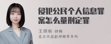 侵犯公民个人信息罪案怎么量刑定罪