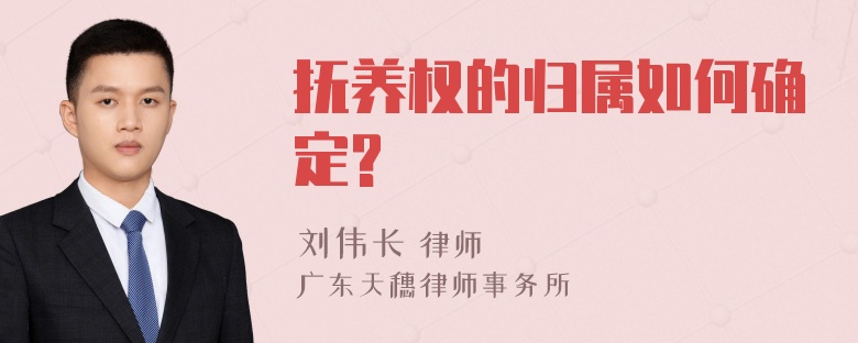 抚养权的归属如何确定?