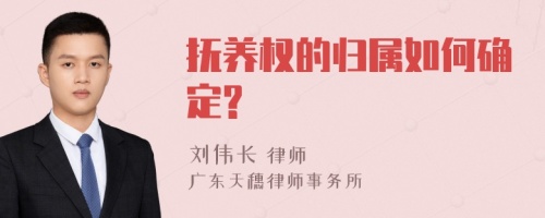 抚养权的归属如何确定?