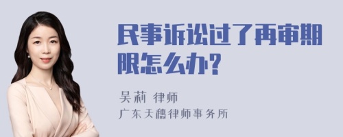 民事诉讼过了再审期限怎么办?