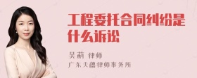 工程委托合同纠纷是什么诉讼