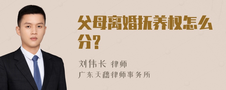 父母离婚抚养权怎么分?