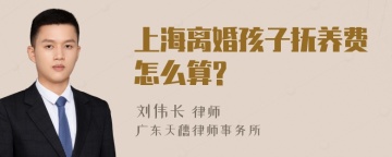 上海离婚孩子抚养费怎么算?