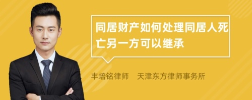 同居财产如何处理同居人死亡另一方可以继承