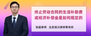 终止劳动合同的生活补助费或经济补偿金是如何规定的