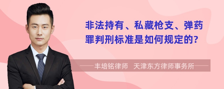 非法持有、私藏枪支、弹药罪判刑标准是如何规定的?