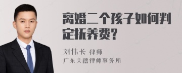 离婚二个孩子如何判定抚养费?