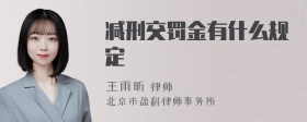 减刑交罚金有什么规定