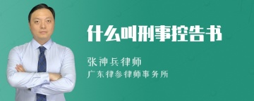 什么叫刑事控告书