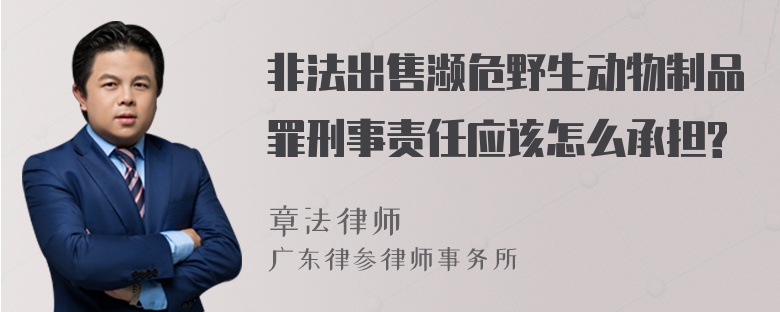 非法出售濒危野生动物制品罪刑事责任应该怎么承担?