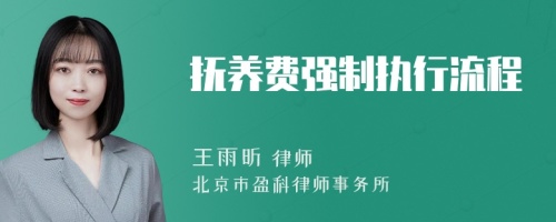 抚养费强制执行流程