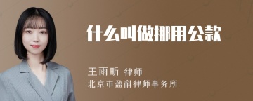 什么叫做挪用公款