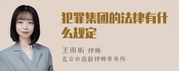 犯罪集团的法律有什么规定