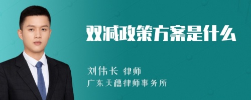 双减政策方案是什么