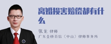 离婚损害赔偿都有什么