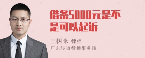 借条5000元是不是可以起诉