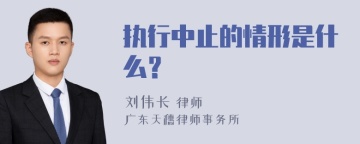 执行中止的情形是什么？