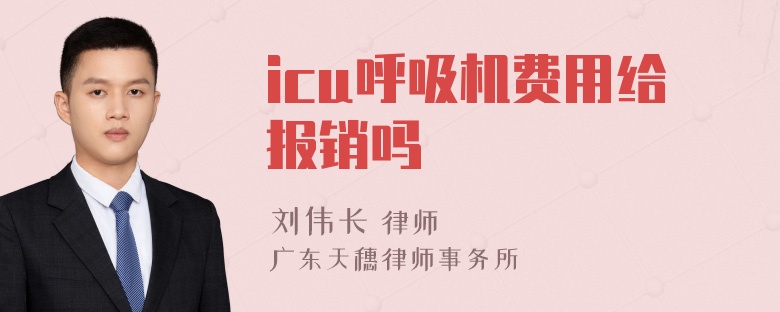 icu呼吸机费用给报销吗