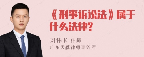 《刑事诉讼法》属于什么法律?