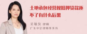 土地承包经营权抵押贷款还不了有什么后果