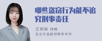 哪些盗窃行为能不追究刑事责任