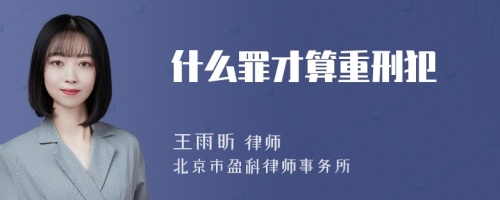 什么罪才算重刑犯