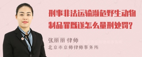 刑事非法运输濒危野生动物制品罪既遂怎么量刑处罚?