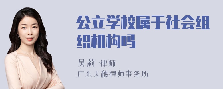 公立学校属于社会组织机构吗