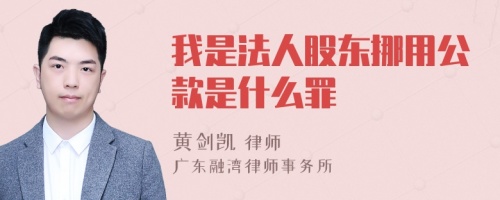 我是法人股东挪用公款是什么罪