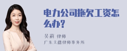 电力公司拖欠工资怎么办?