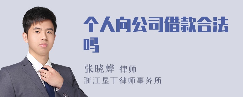 个人向公司借款合法吗